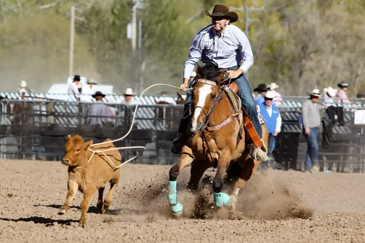 Tucson Rodeo 2025: La Fiesta de los Vaqueros competitions