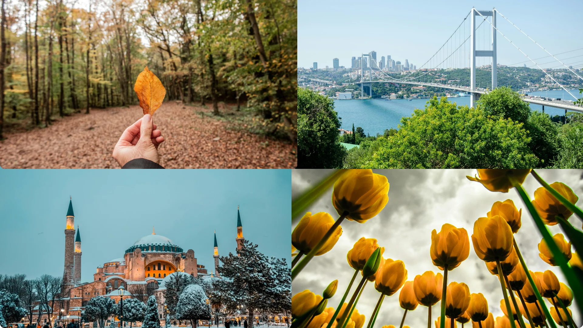 Best time to visit Istanbul: How to visit the best of Istanbul 2025