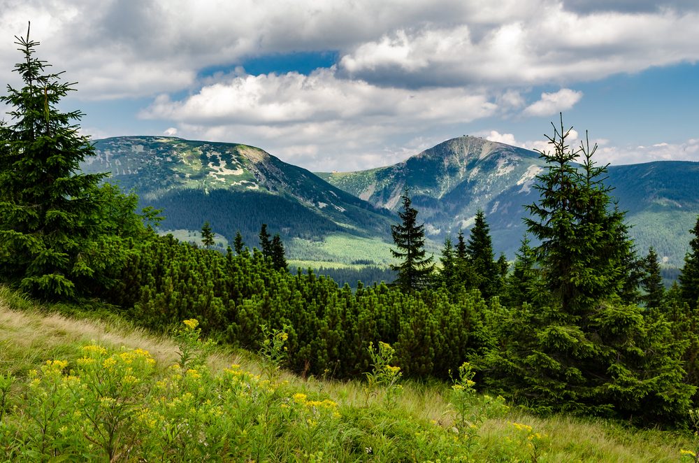 Karkonosze National Park: Poland National Parks